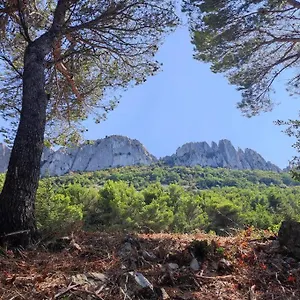 https://au-mas-des-glycines-gte-la-tropzienne-6-personnes.fr-provencehotel.com